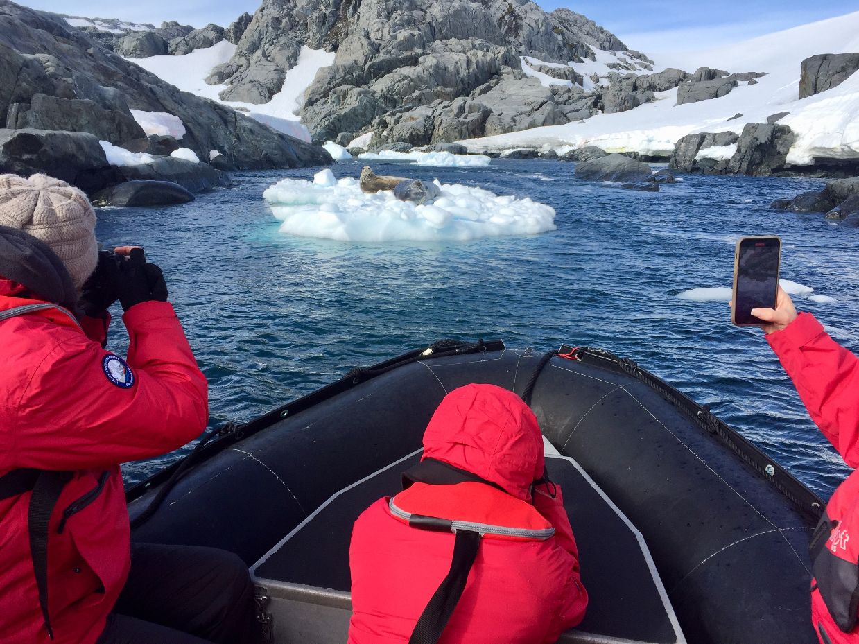 Passengers in a Zodiac photographing a seal resting on an ice floe in Antarctica