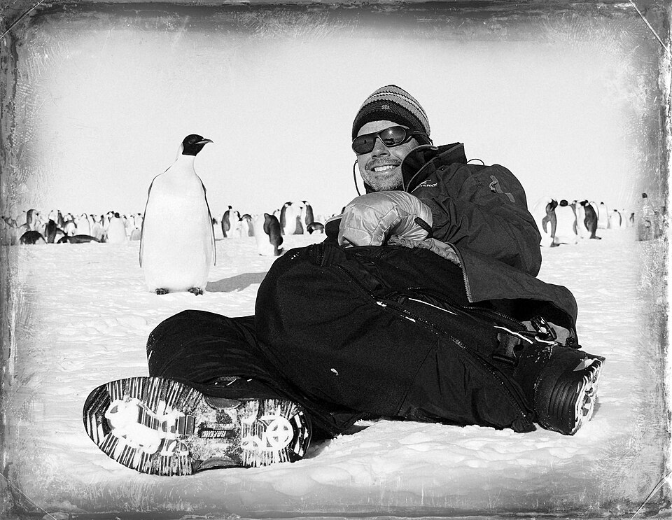 A solo traveler resting on the ice near a penguin colony in Antarctica